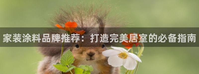 和记国际客服：家装涂料品牌推荐：打造完美居室的必备指南