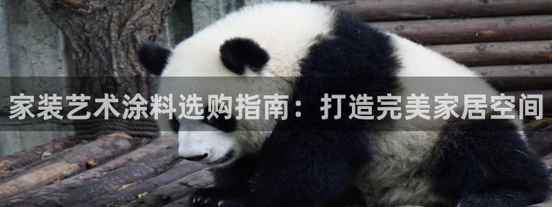 和记登陆：家装艺术涂料选购指南：打造完美家居空间