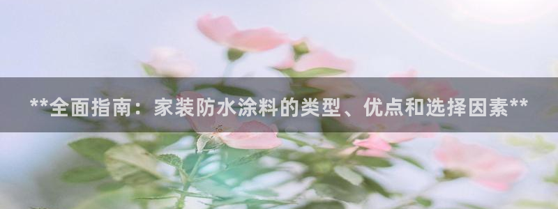 和记官网官方网站：**全面指南：家装防水涂料的类型、优点和选择因素**
