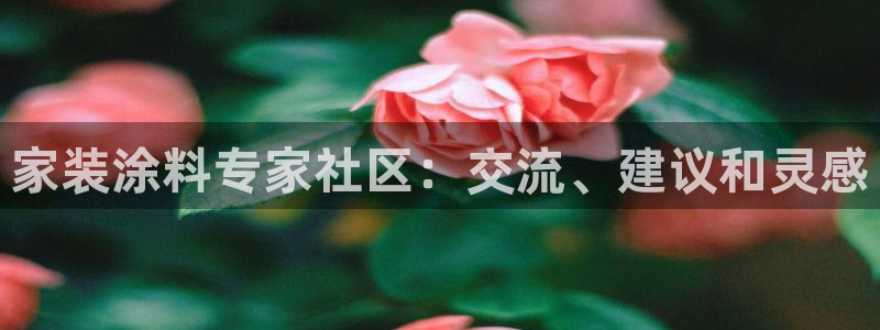 和记登陆：家装涂料专家社区：交流、建议和灵感