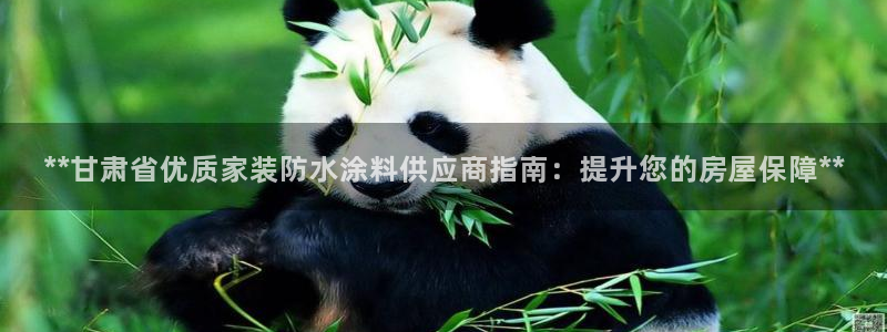 和记ag旗舰国际：**甘肃省优质家装防水涂料供应商指南：提升您的房屋保障**