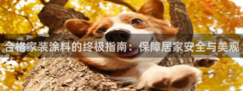 和记5g电讯