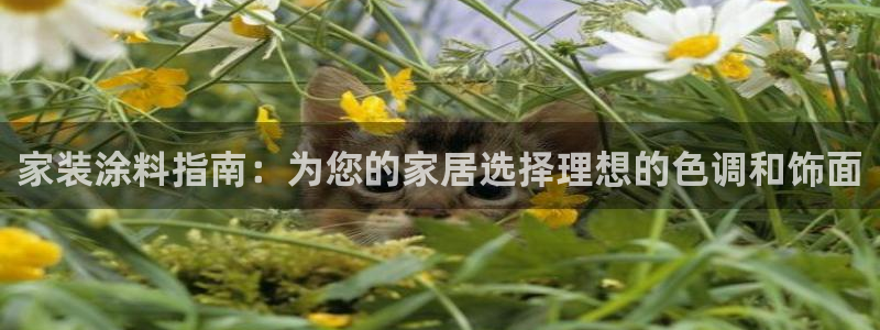 和记AG网站：家装涂料指南：为您的家居选择理想的色调和饰面