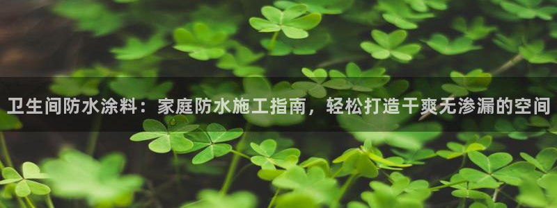和记广告女主角：卫生间防水涂料：家庭防水施工指南，轻松打造干爽无渗漏的空间