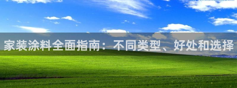 和记AG：家装涂料全面指南：不同类型、好处和选择