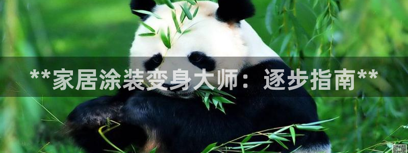 和记国际开户：**家居涂装变身大师：逐步指南**