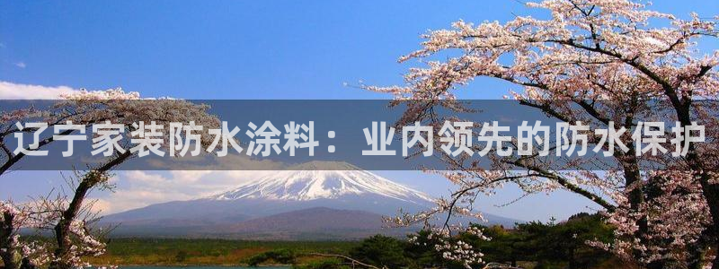 和记官网[中国]官方网站：辽宁家装防水涂料：业内领先的防水保护
