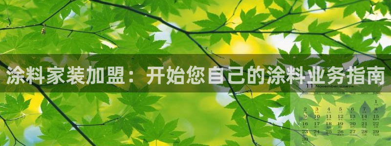 和记下载：涂料家装加盟：开始您自己的涂料业务指南