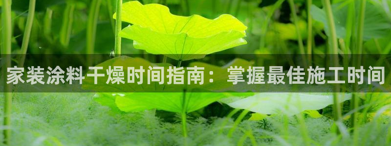 和记官方直营注册导航