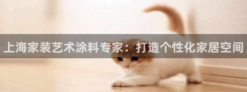 和记H88：上海家装艺术涂料专家：打造个性化家居空间