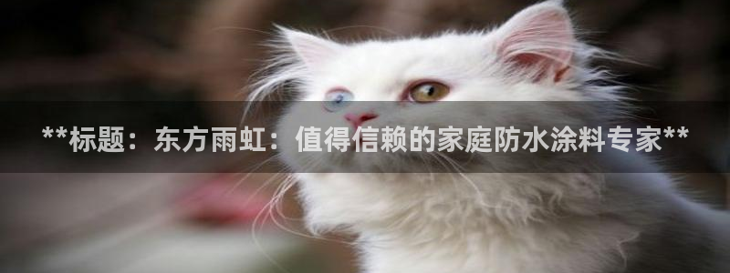 和记旗舰厅：**标题：东方雨虹：值得信赖的家庭防水涂料专家**