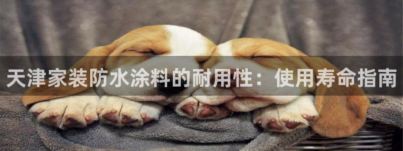和记官网登录：天津家装防水涂料的耐用性：使用寿命指南