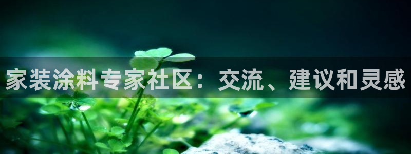 和记注册有什么送的：家装涂料专家社区：交流、建议和灵感