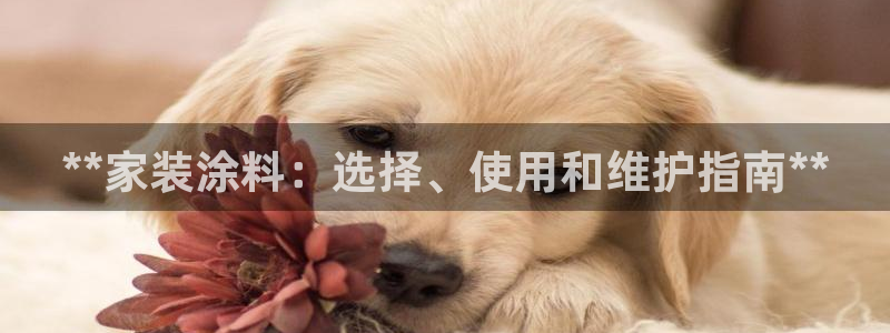 和记登陆：**家装涂料：选择、使用和维护指南**