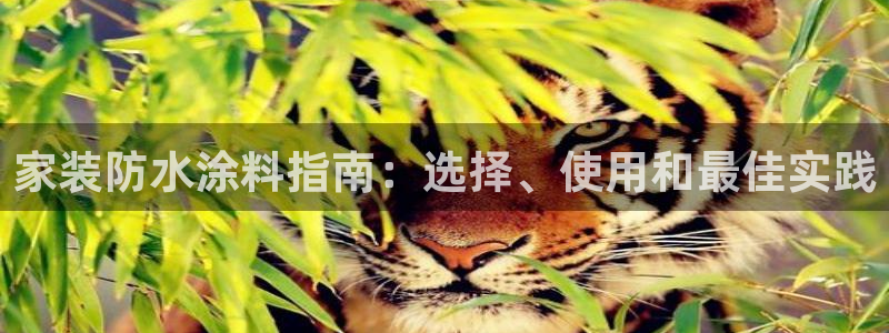 和记官方网站