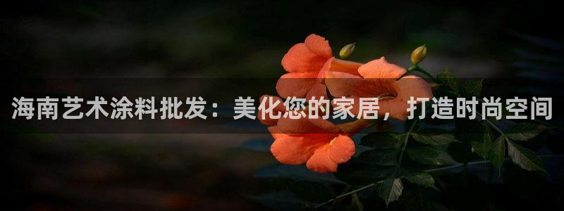 上海和记餐饮：海南艺术涂料批发：美化您的家居，打造时尚空间