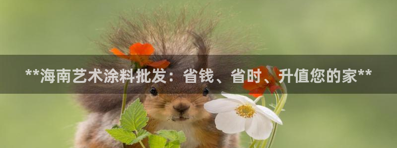 和记官方直营注册导航：**海南艺术涂料批发：省钱、省时、升值您的家**