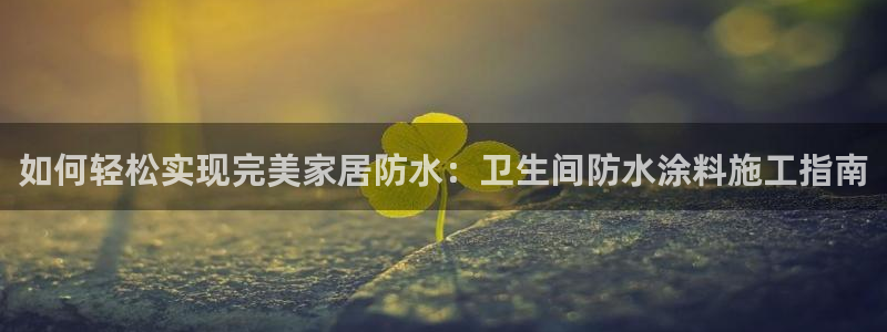 和记官网：如何轻松实现完美家居防水：卫生间防水涂料施工指南