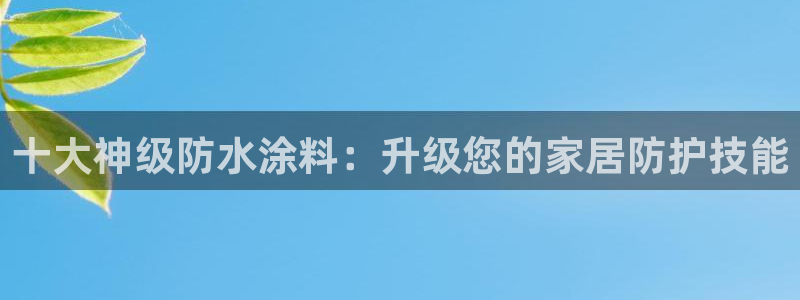和记旗舰厅：十大神级防水涂料：升级您的家居防护技能