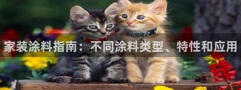和记下载：家装涂料指南：不同涂料类型、特性和应用
