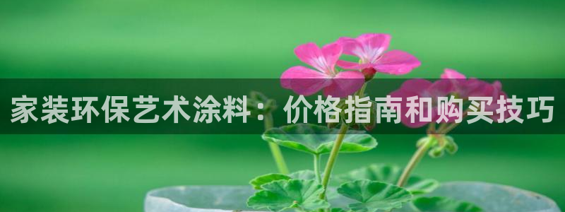 和记最新官方网址：家装环保艺术涂料：价格指南和购买技巧