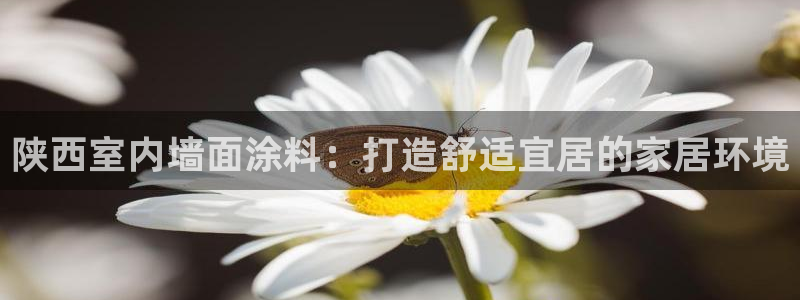 和记官方平台：陕西室内墙面涂料：打造舒适宜居的家居环境