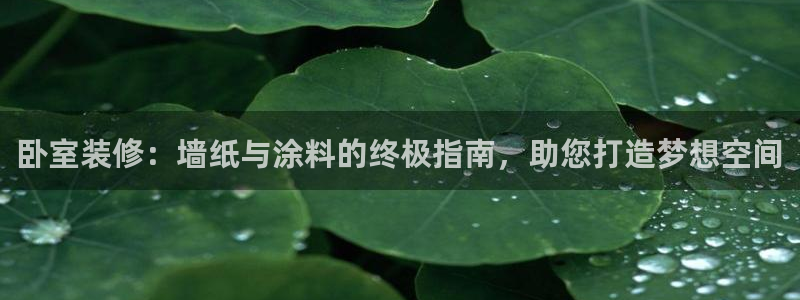 和记平台登陆：卧室装修：墙纸与涂料的终极指南，助您打造梦想空间