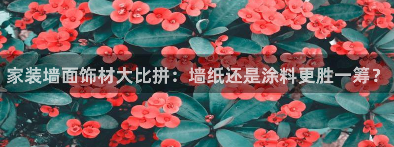 和记h8：家装墙面饰材大比拼：墙纸还是涂料更胜一筹？