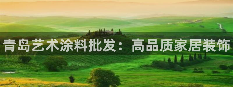 和记Ag：青岛艺术涂料批发：高品质家居装饰