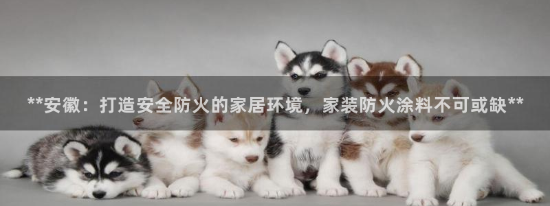 和记 官网：**安徽：打造安全防火的家居环境，家装防火涂料不可或缺**