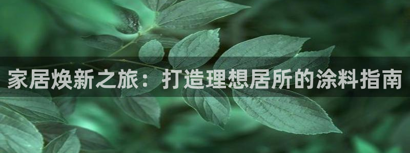 上海和记餐饮有限公司：家居焕新之旅：打造理想居所的涂料指南