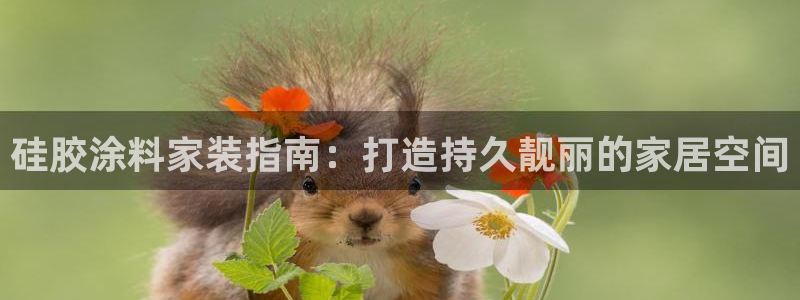 和记平台登陆：硅胶涂料家装指南：打造持久靓丽的家居空间