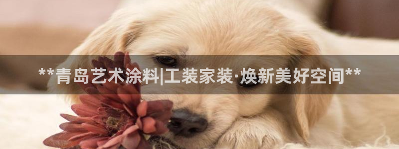 和记 首页：**青岛艺术涂料|工装家装·焕新美好空间**