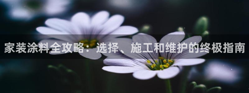 和记ag旗舰国际：家装涂料全攻略：选择、施工和维护的终极指南