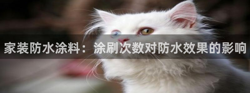 和记H88：家装防水涂料：涂刷次数对防水效果的影响