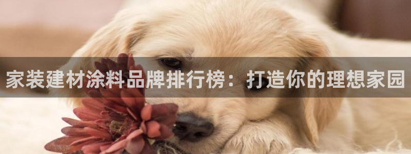 和记电业集团：家装建材涂料品牌排行榜：打造你的理想家园