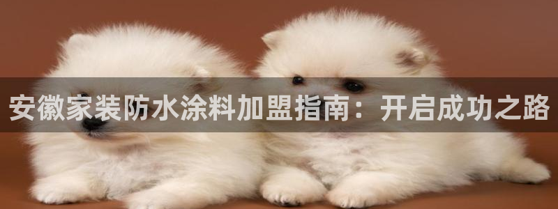 和记ag旗舰国际：安徽家装防水涂料加盟指南：开启成功之路