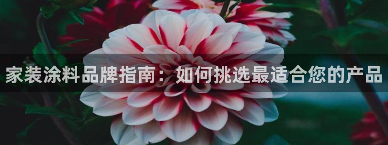 和记 中国首页