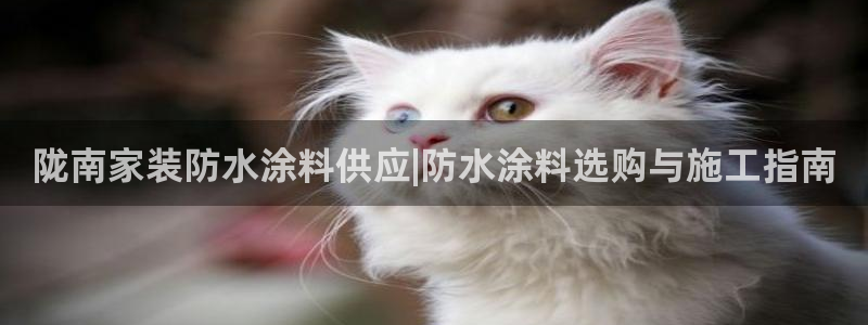 和记平台登陆：陇南家装防水涂料供应|防水涂料选购与施工指南