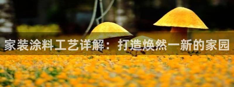 和记(福建)商贸有限公司：家装涂料工艺详解：打造焕然一新的家园