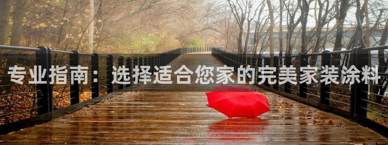 官方和记国际平台登录：专业指南：选择适合您家的完美家装涂料