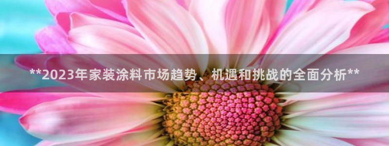 和记 中国官网：**2023年家装涂料市场趋势、机遇和挑战的全面分析**