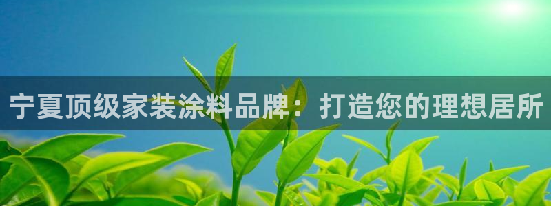 和记AG：宁夏顶级家装涂料品牌：打造您的理想居所