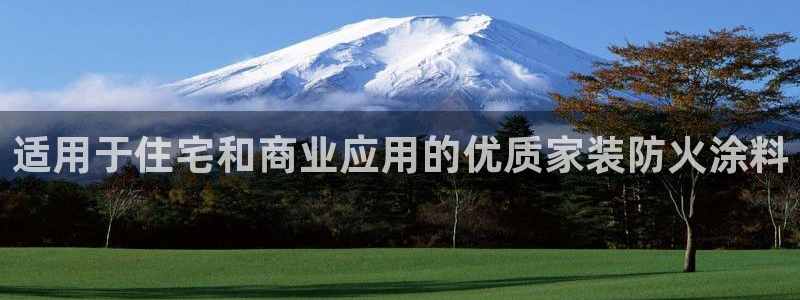 和记下载：适用于住宅和商业应用的优质家装防火涂料