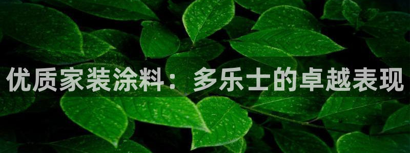 和记H88