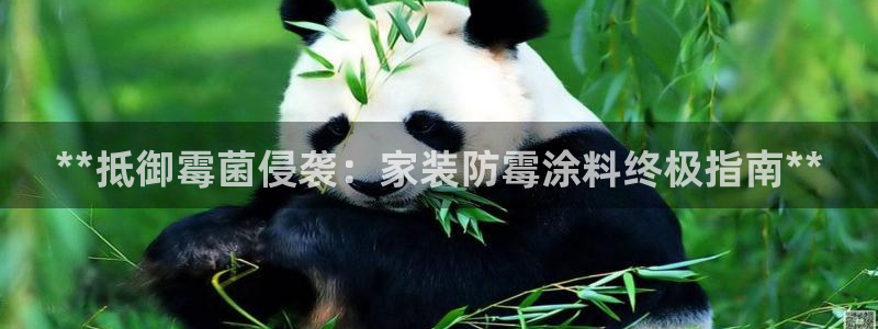 和记2017app：**抵御霉菌侵袭：家装防霉涂料终极指南**