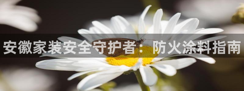 和记平台官方网：安徽家装安全守护者：防火涂料指南