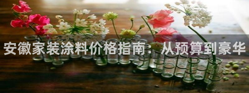 和记ag网页版：安徽家装涂料价格指南：从预算到豪华