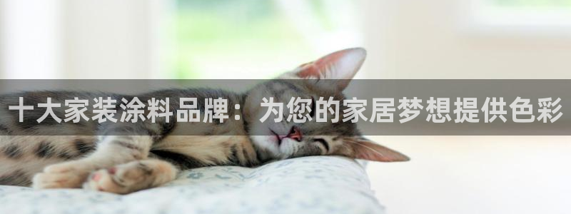 和记平台怎么样：十大家装涂料品牌：为您的家居梦想提供色彩