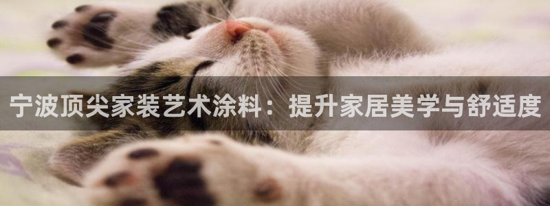 和记官网登录：宁波顶尖家装艺术涂料：提升家居美学与舒适度